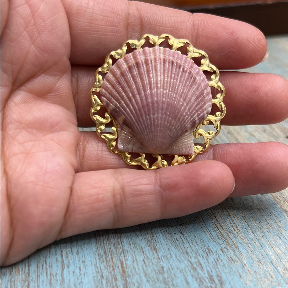 Shell brooch
